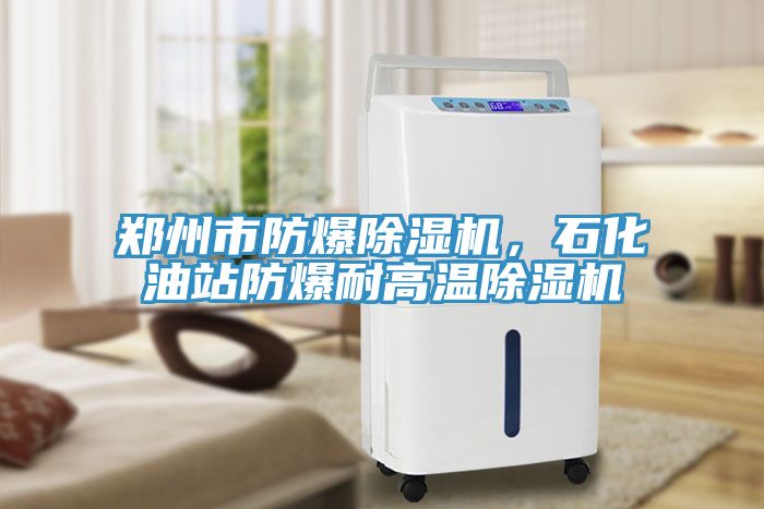 鄭州市防爆蘑菇视频网站，石化油站防爆耐高溫蘑菇视频网站