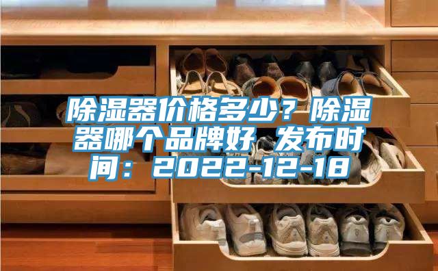 除濕器價格多少？除濕器哪個品牌好 發布時間：2022-12-18