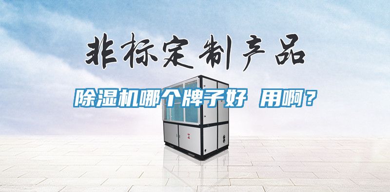蘑菇视频网站哪個牌子好 用啊？