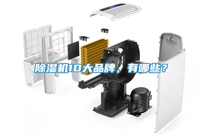 蘑菇视频网站10大品牌，有哪些？