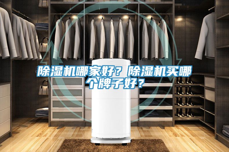 蘑菇视频网站哪家好？蘑菇视频网站買哪個牌子好？