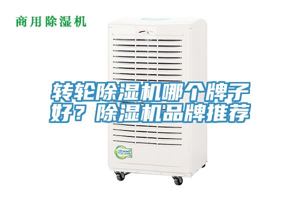 轉輪蘑菇视频网站哪個牌子好？蘑菇视频网站品牌推薦