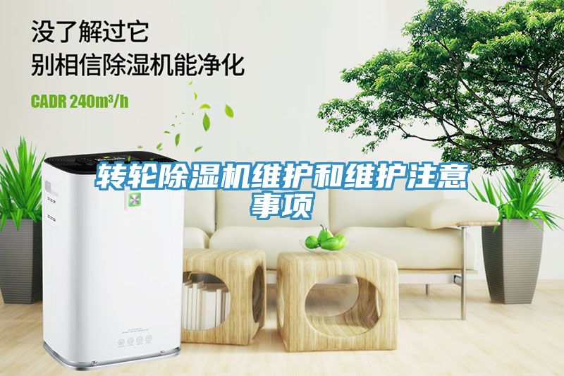 轉輪蘑菇视频网站維護和維護注意事項