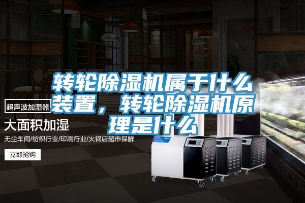 轉輪蘑菇视频网站屬於什麽裝置，轉輪蘑菇视频网站原理是什麽