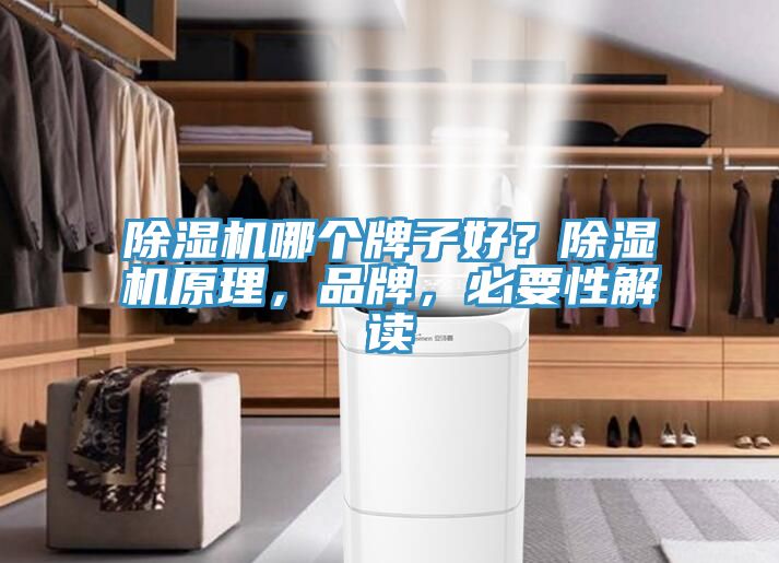 蘑菇视频网站哪個牌子好？蘑菇视频网站原理，品牌，必要性解讀